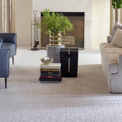 Living Room Pattern Carpet - CarpetsPlus of Fairmont in Fairmont, MN